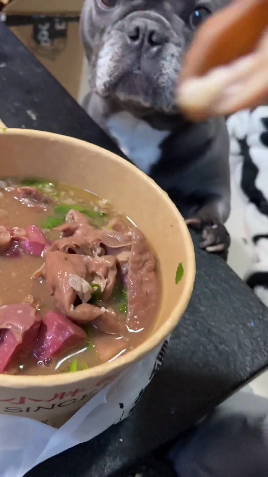 点卤煮撒肉包等共四十多味道超馋人