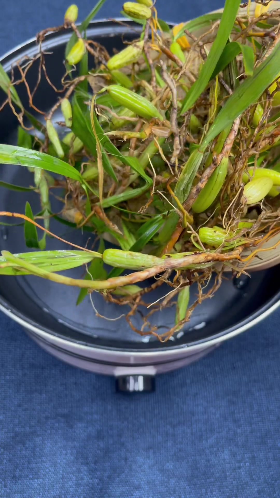 天气实在太热了，今天分享一道清爽清新的汤