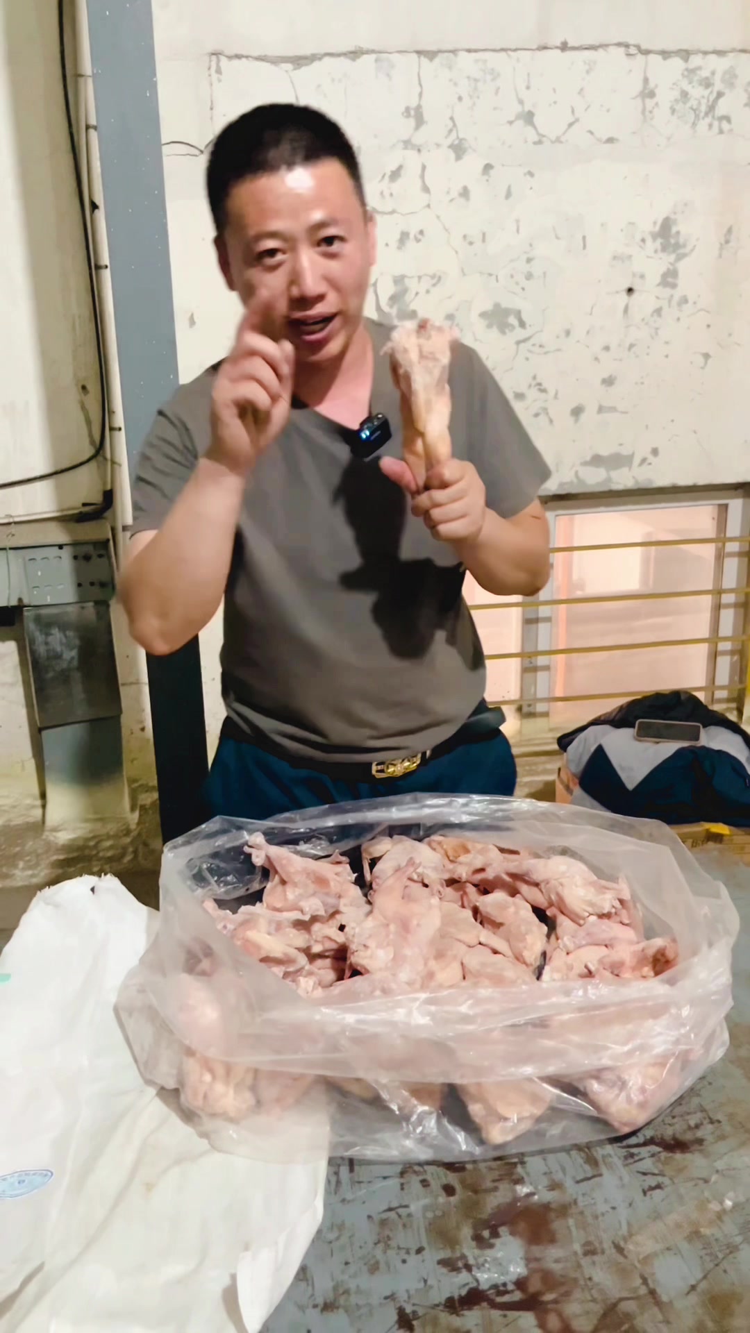 还没满月的小鸡仔