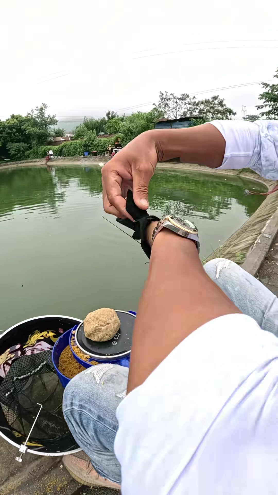 休闲塘钓草鱼,罗非狂口破百,黑坑冷冻饵实战