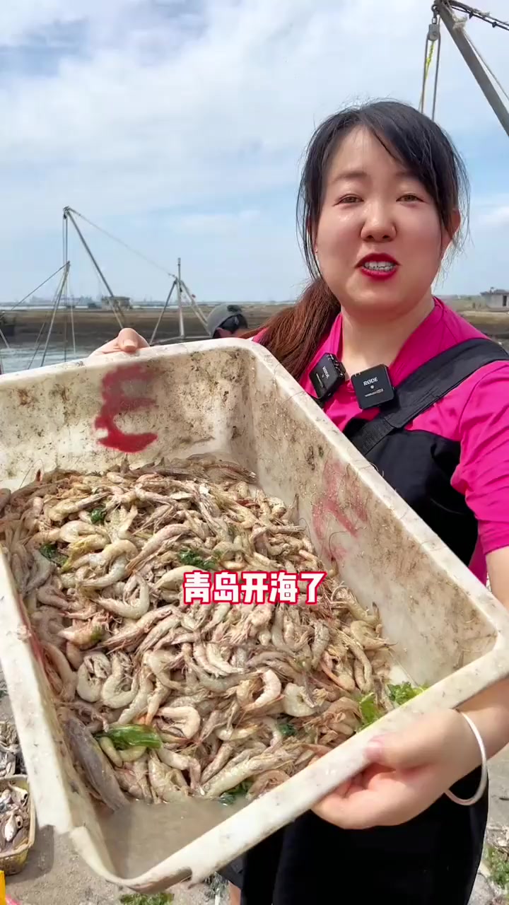 青岛开海了，青岛码头上的海鲜有多便宜？3元一斤的带鱼、黄花鱼，6元一斤的蛎虾，20元一斤的