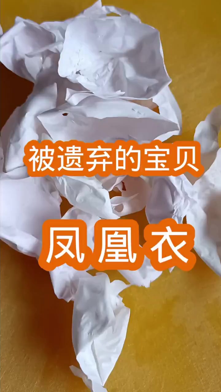 凤凰衣的好处有很多