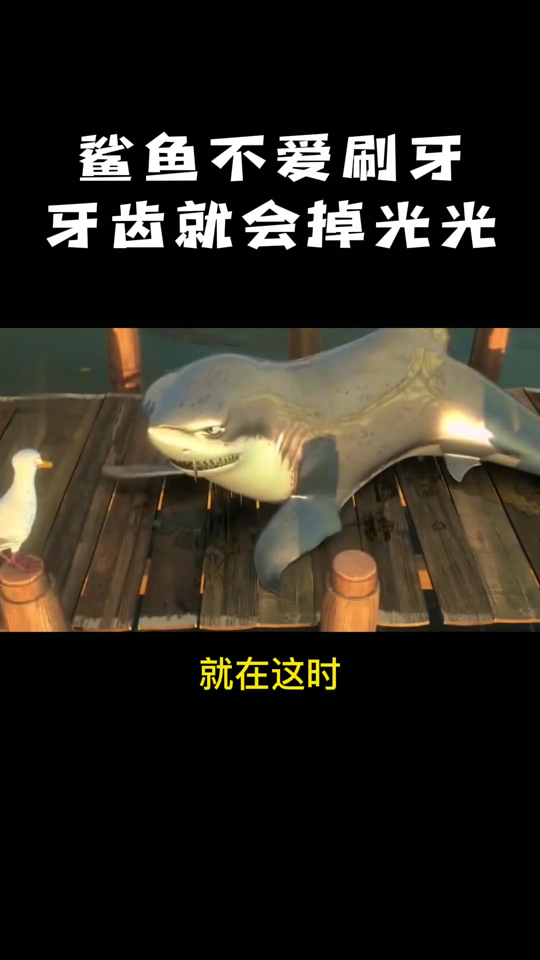 搞笑动画:鲨鱼敷衍刷牙,牙齿全部脱落