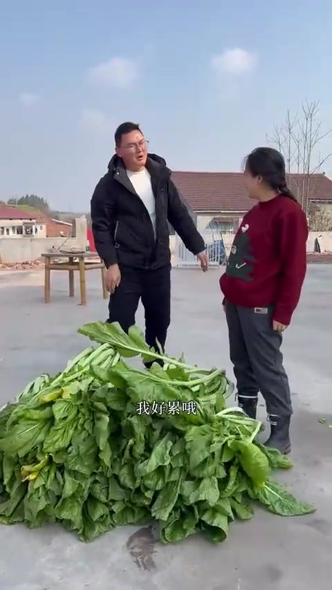小妹儿拉了一车青菜，回来做宜宾芽菜，小诚诚都跑来帮忙