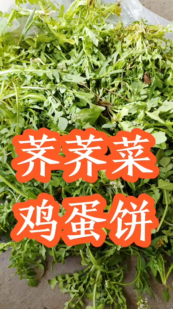 荠荠菜的全新吃法