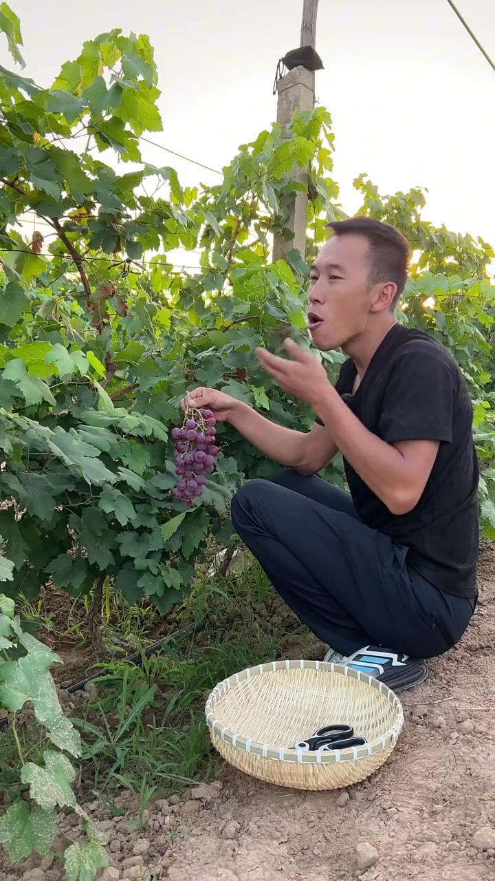 想讲闽宁镇故事,却不知从何说起,这里奇迹太多