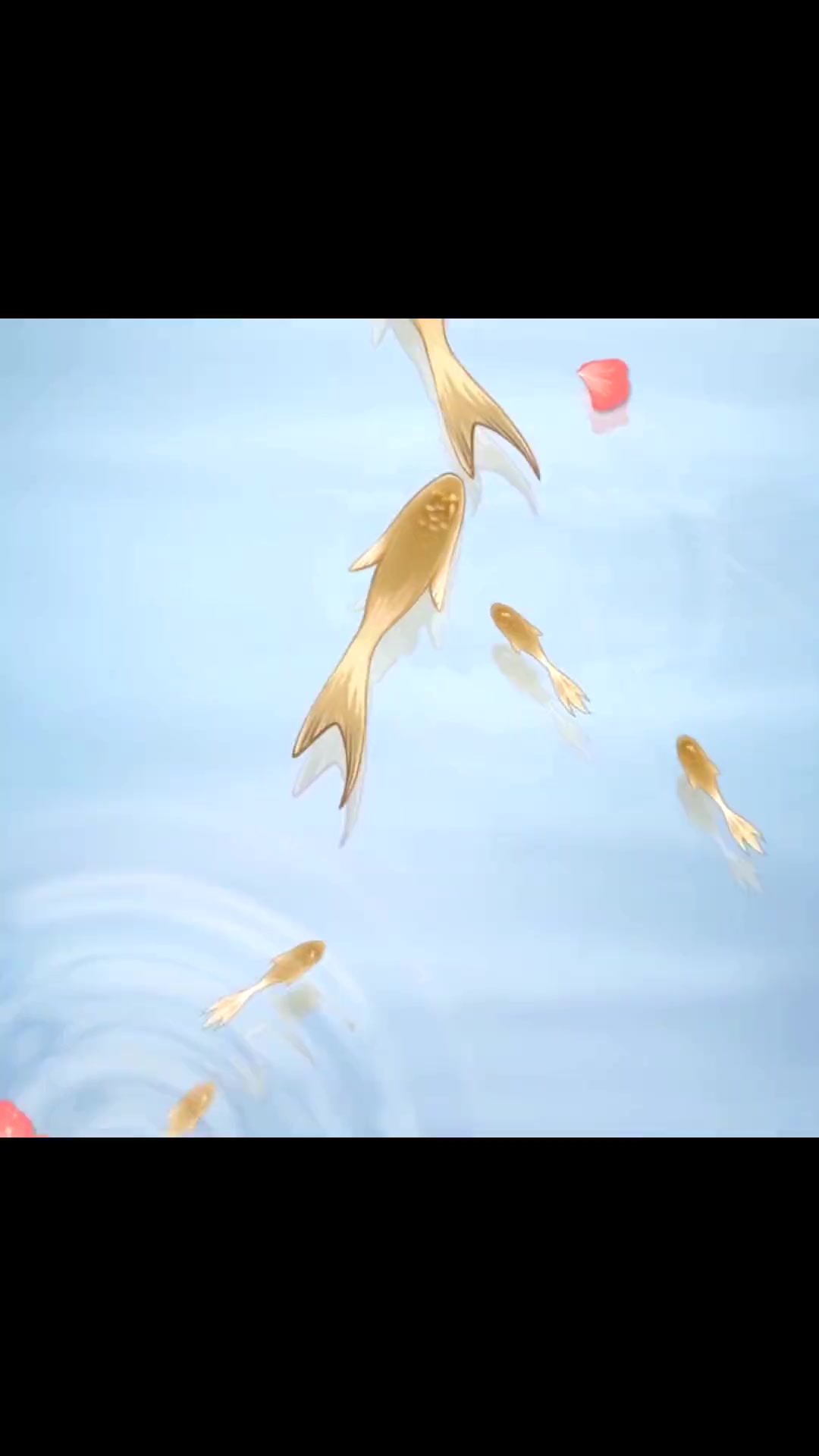 聆海金鱼姬ps.最近的皮肤都还不错哦