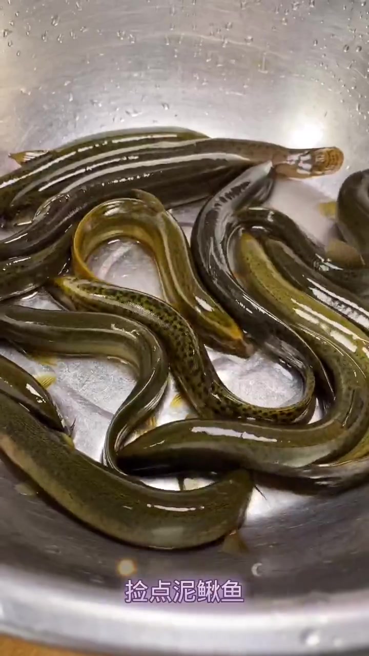 童年味道酱焖泥鳅鱼教程照做嘎嘎香