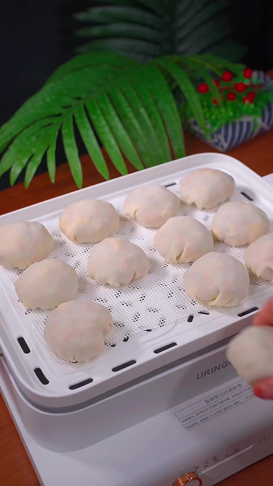 天热不想吃饭,可以试试这个蒸虾饺……