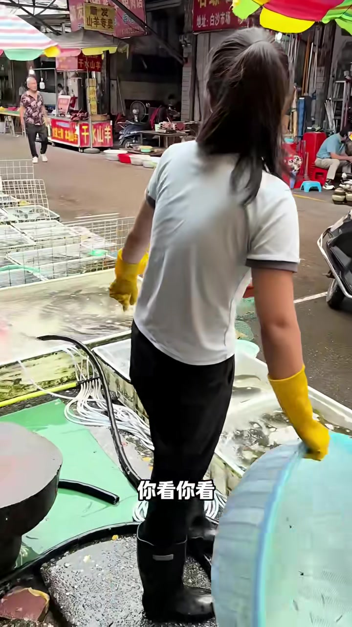 收了一条二十斤的大青鱼,卖完是赚还是亏?