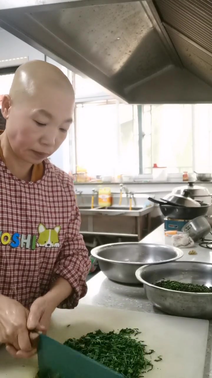 斋饭:荠荠菜饺子。阿弥陀佛!
