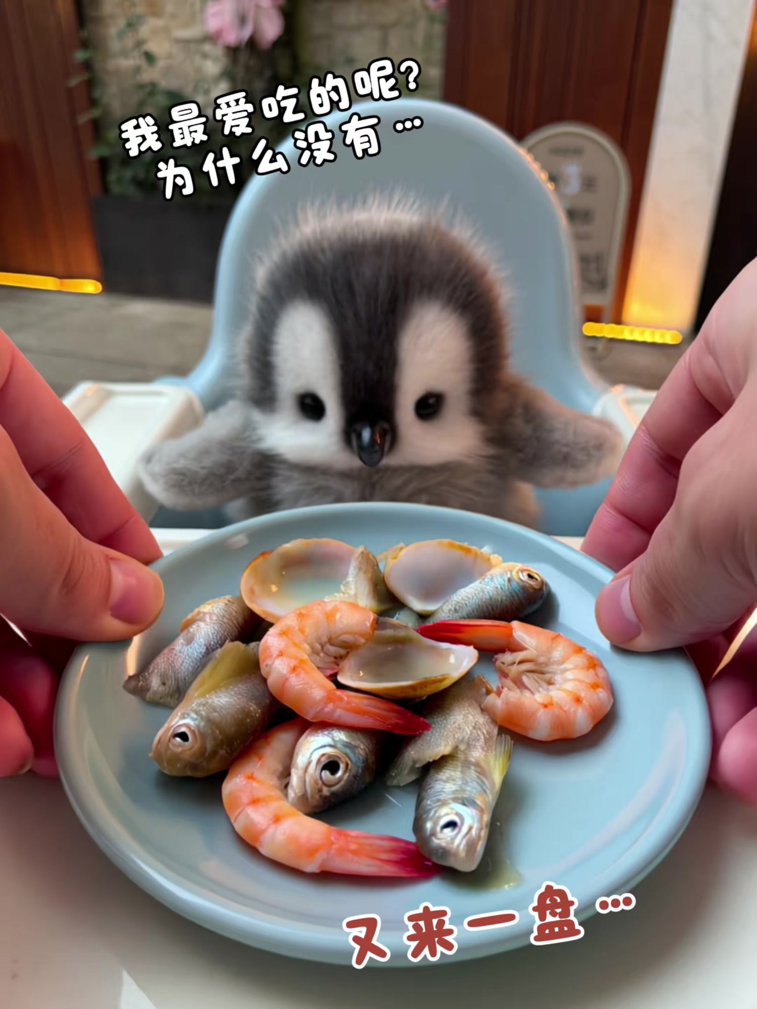 小企鹅宝宝的最爱，它到底想吃什么呢，快来猜猜看