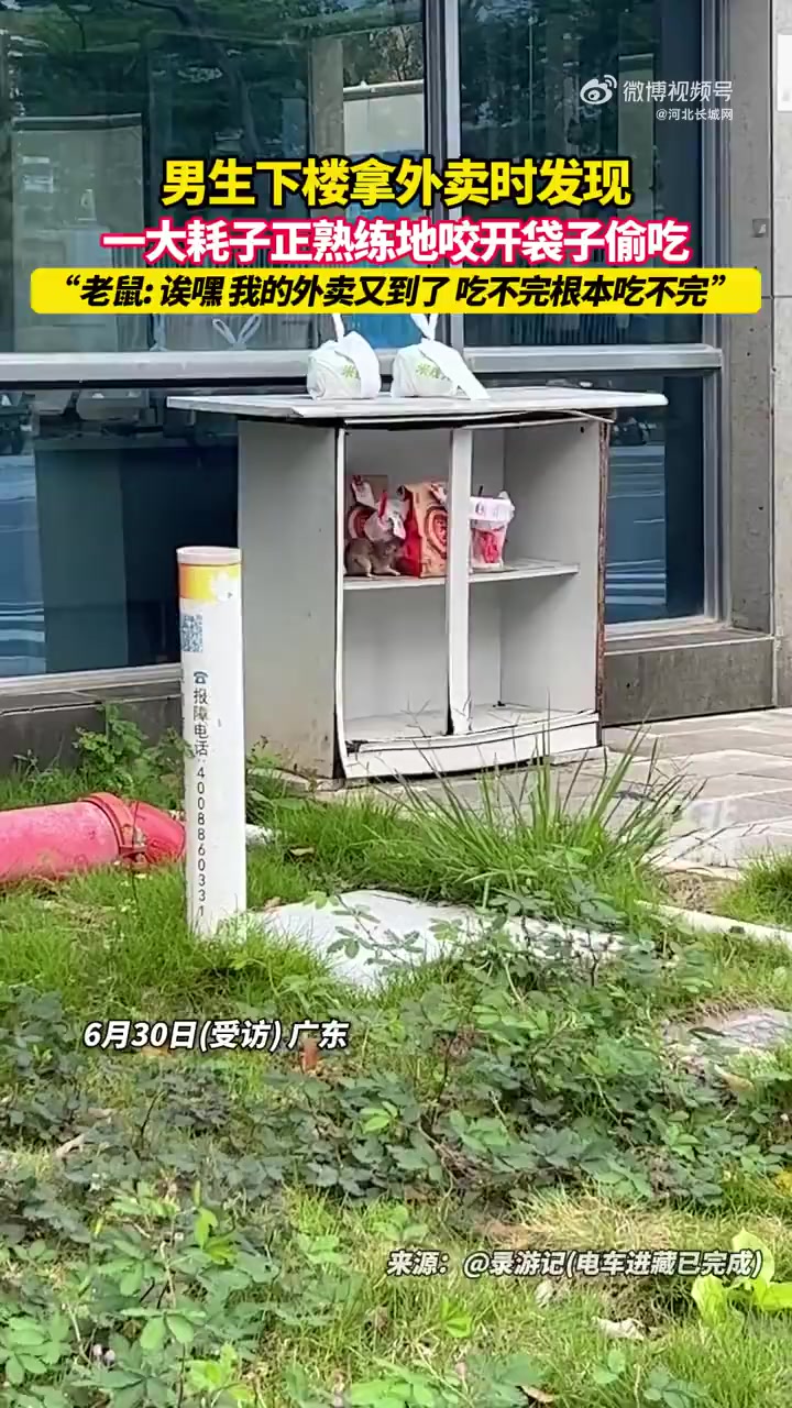 6月30日,广东。男生下楼拿外卖时发现一大耗子正熟练地咬开袋子偷吃,当事人称:看到外卖袋子