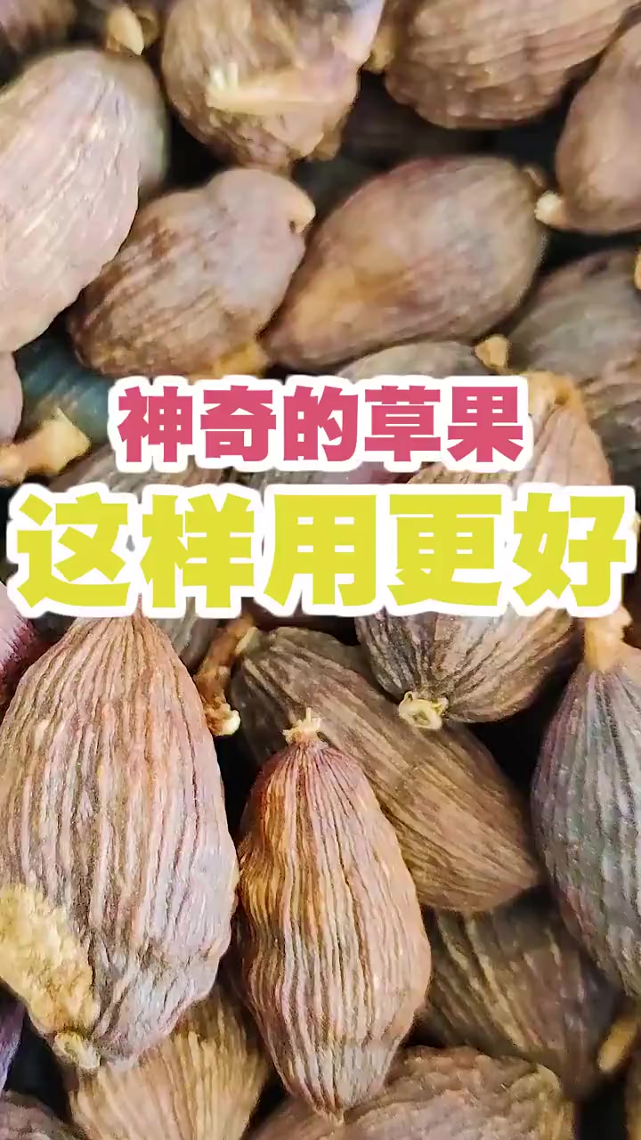 草果是卤肉中常用到一味香料,怎么用好草果今天为大家说明白