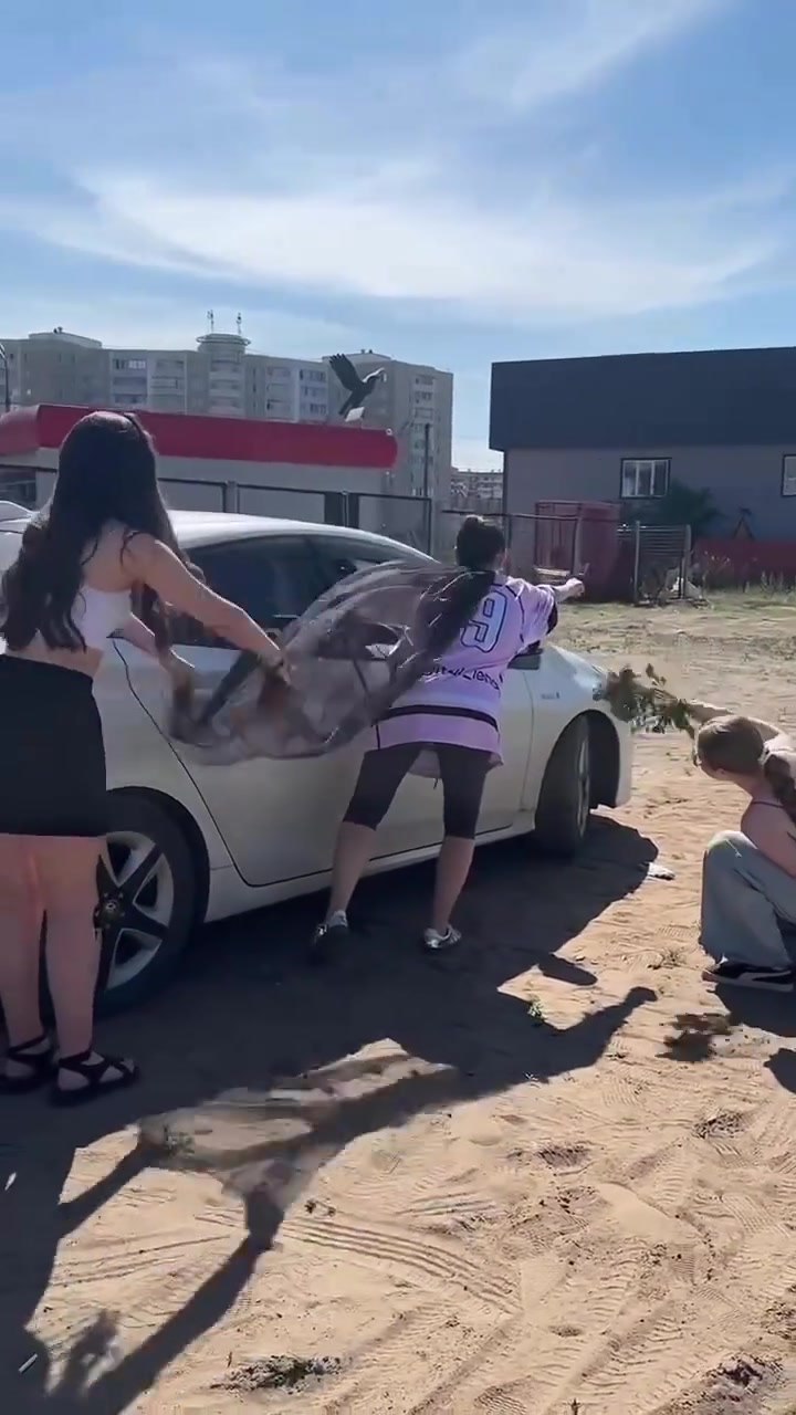 这个寿司广告打的好有创意，哈哈哈哈哈