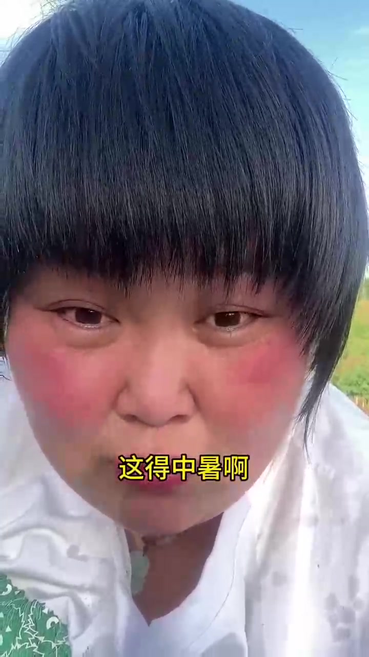 马齿菜晒干了包包子炖肉可香咧