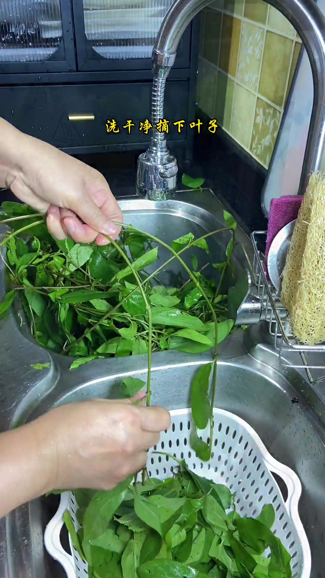 三月三壮族人民唱山歌吃五色糯米饭,北海人的习俗是吃鸡屎藤籺,闻起来臭臭,吃起来香香的,没有