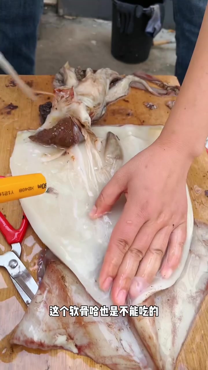 鱿鱼内脏不可以吃哦
