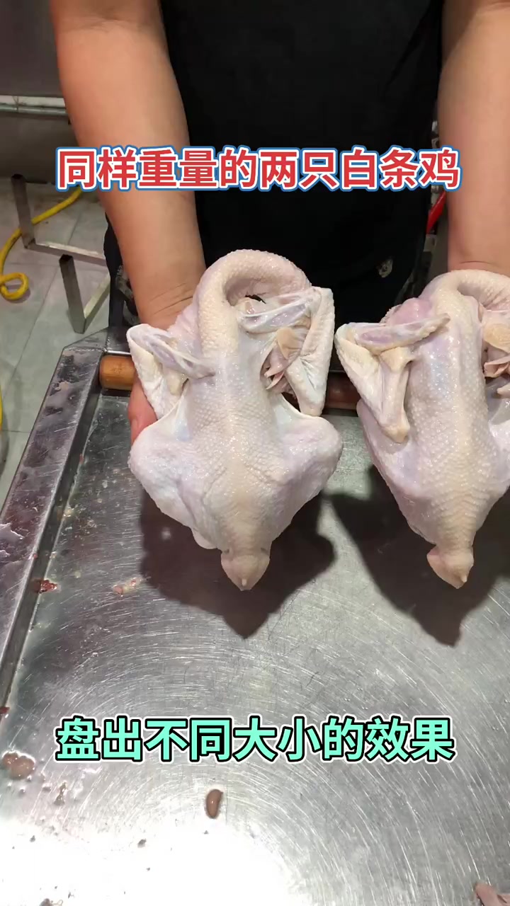同样重量的白条鸡，不同盘法，大小不一样