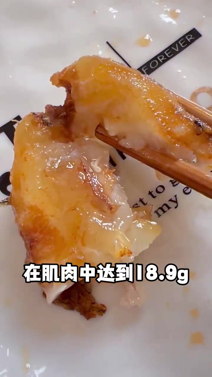 澳洲银鲈终于尘埃落定，以番禺海鸥岛为主场，发展到全国各地养殖