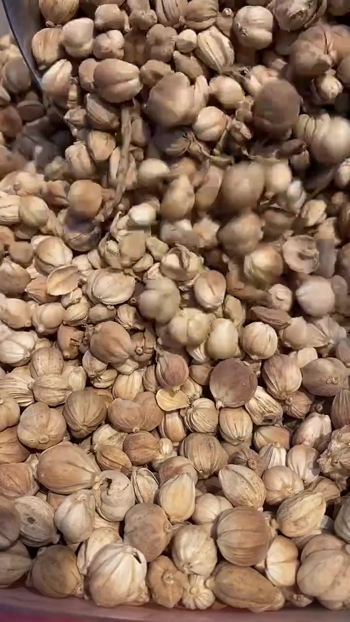 做好羊肉需要知道的顺口溜,记住它你也能做好羊肉