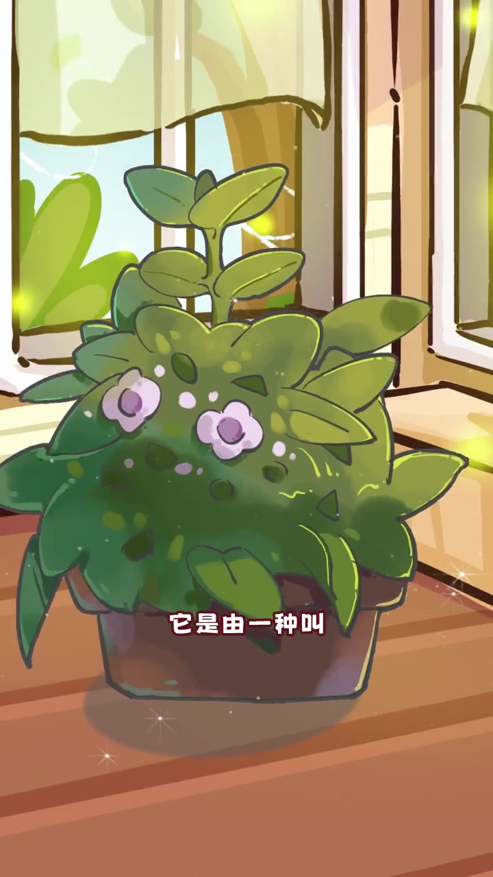 广东黑暗美食鸡屎藤饼，你吃过吗？