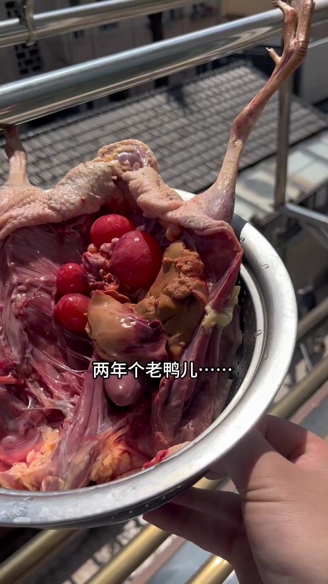 笋干老鸭煲、腐皮青菜、春笋蒸咸肉、番茄炒蛋……