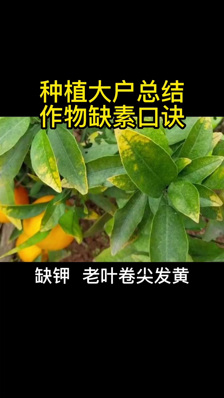 种植大户总结的作物缺素口诀种瓜果蔬菜的，你一定要记牢