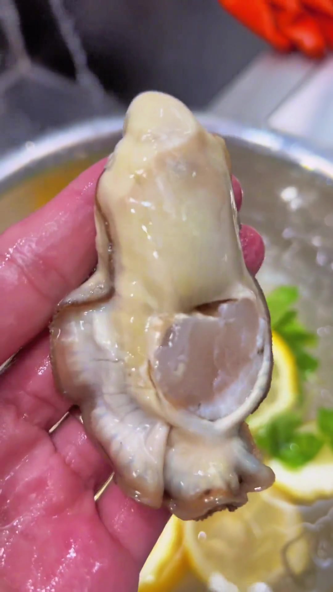 盛宴“蚝”滋味汁水比例:1、欣和味极鲜酱油300克,2、海天海鲜酱油130克,3、蚝油20