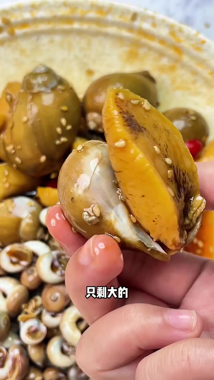冬天吃黄夏天吃肉的鲍鱼螺又大又Q弹超新鲜