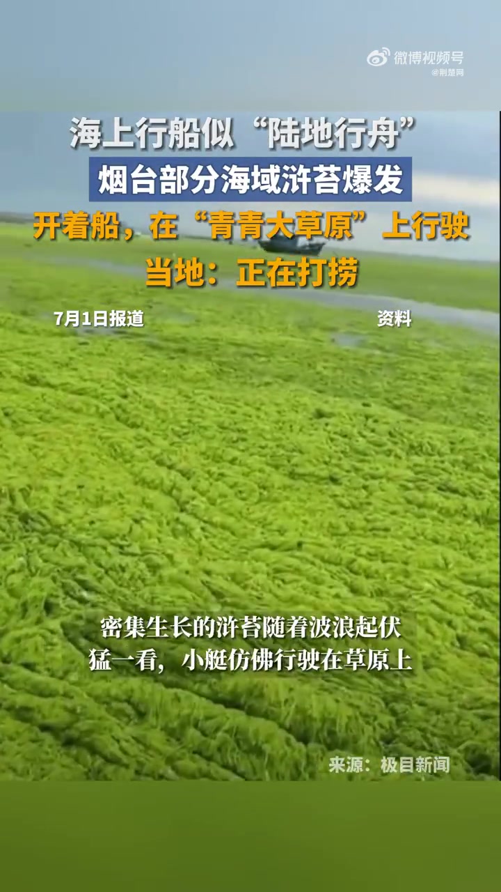 “开着船,在‘青青大草原’上行驶,99%的人不敢相信!“在山东省烟台市部分海域,海面和沙滩