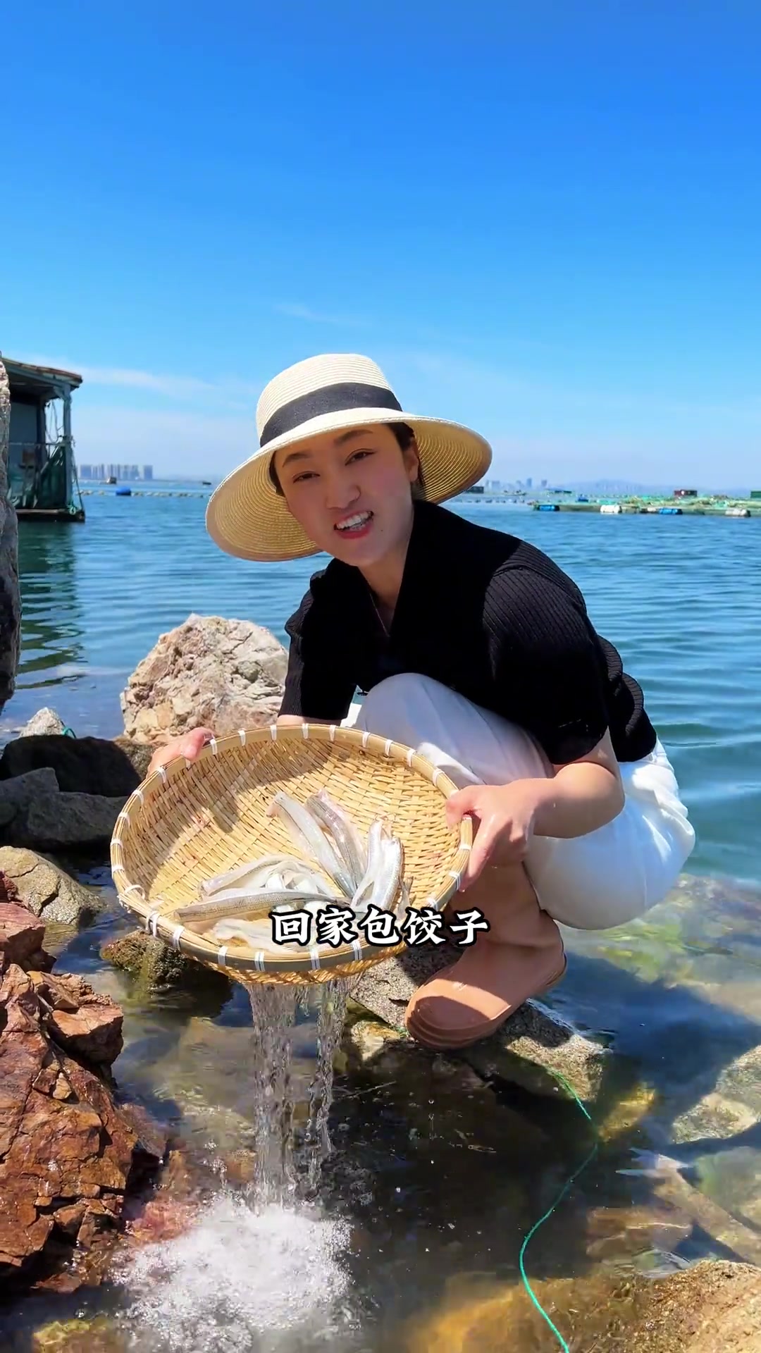 西红柿马步鱼水饺今儿吃用马步鱼包个清清凉凉的水饺吃吧！