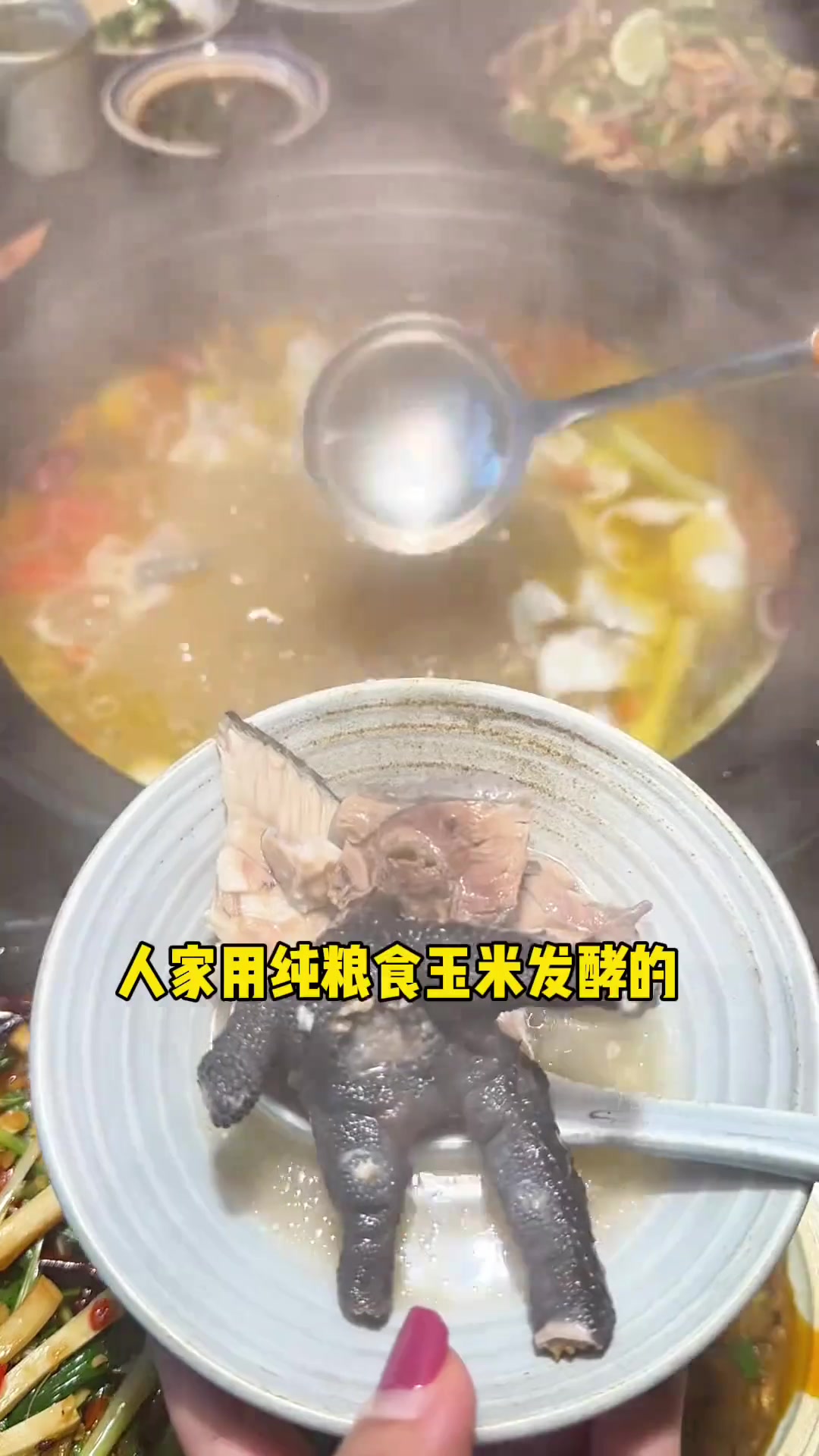 酸汤鸡,特色菜品,请客吧