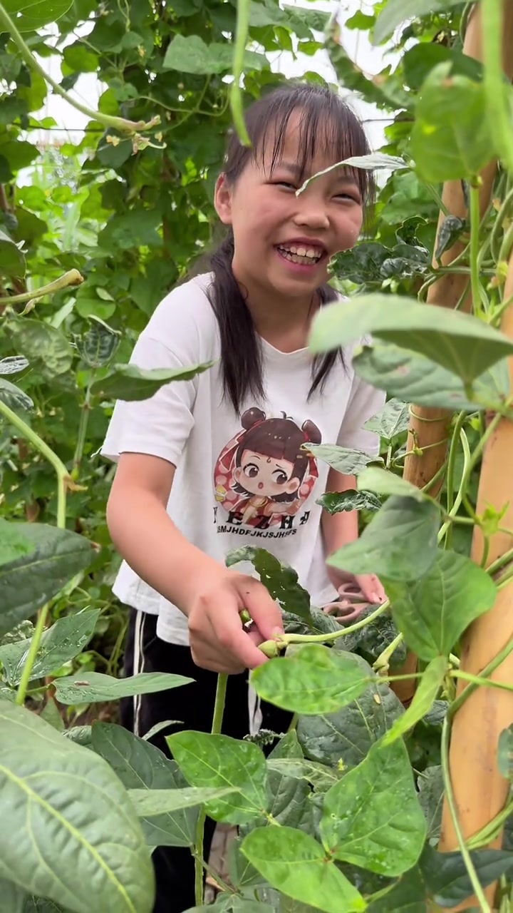 女儿放暑假了，主动要求采摘妈妈种的绿色蔬菜去摆摊卖菜，体验自己赚钱的乐趣，早上六点就起来去