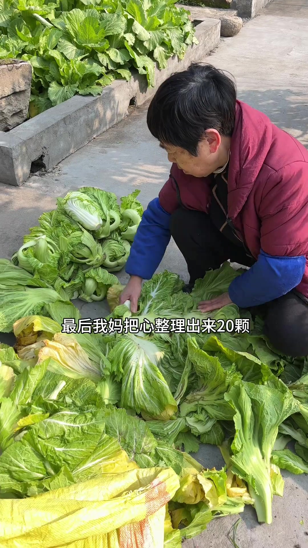 做咸菜还得看浙江婆婆,我妈腌的咸菜咸鲜脆爽
