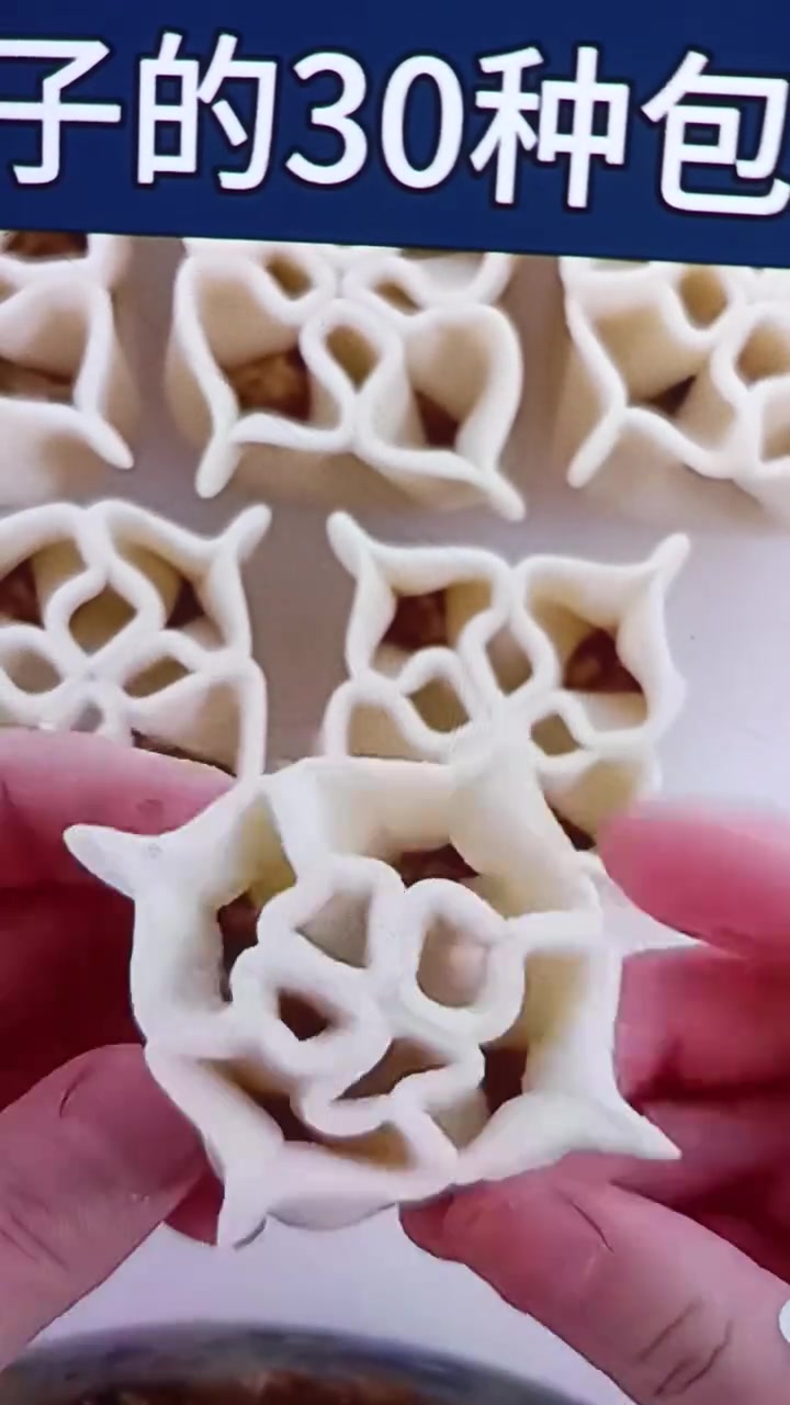 超多种类饺子一捏捏你见过几种?