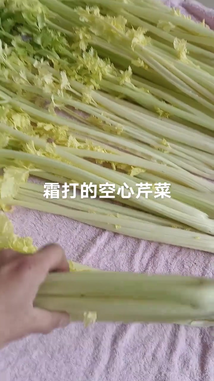 自家种的空心芹菜