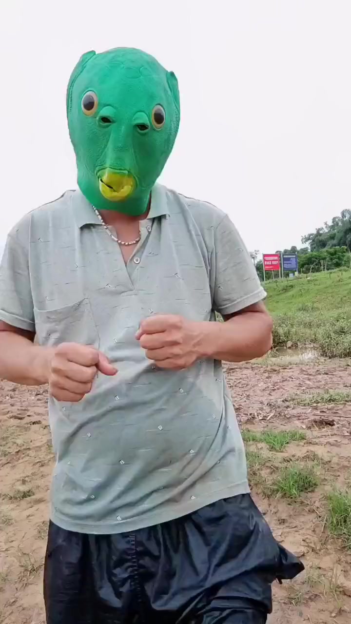 赛罗哥哥绿终于被绿头鱼打败了