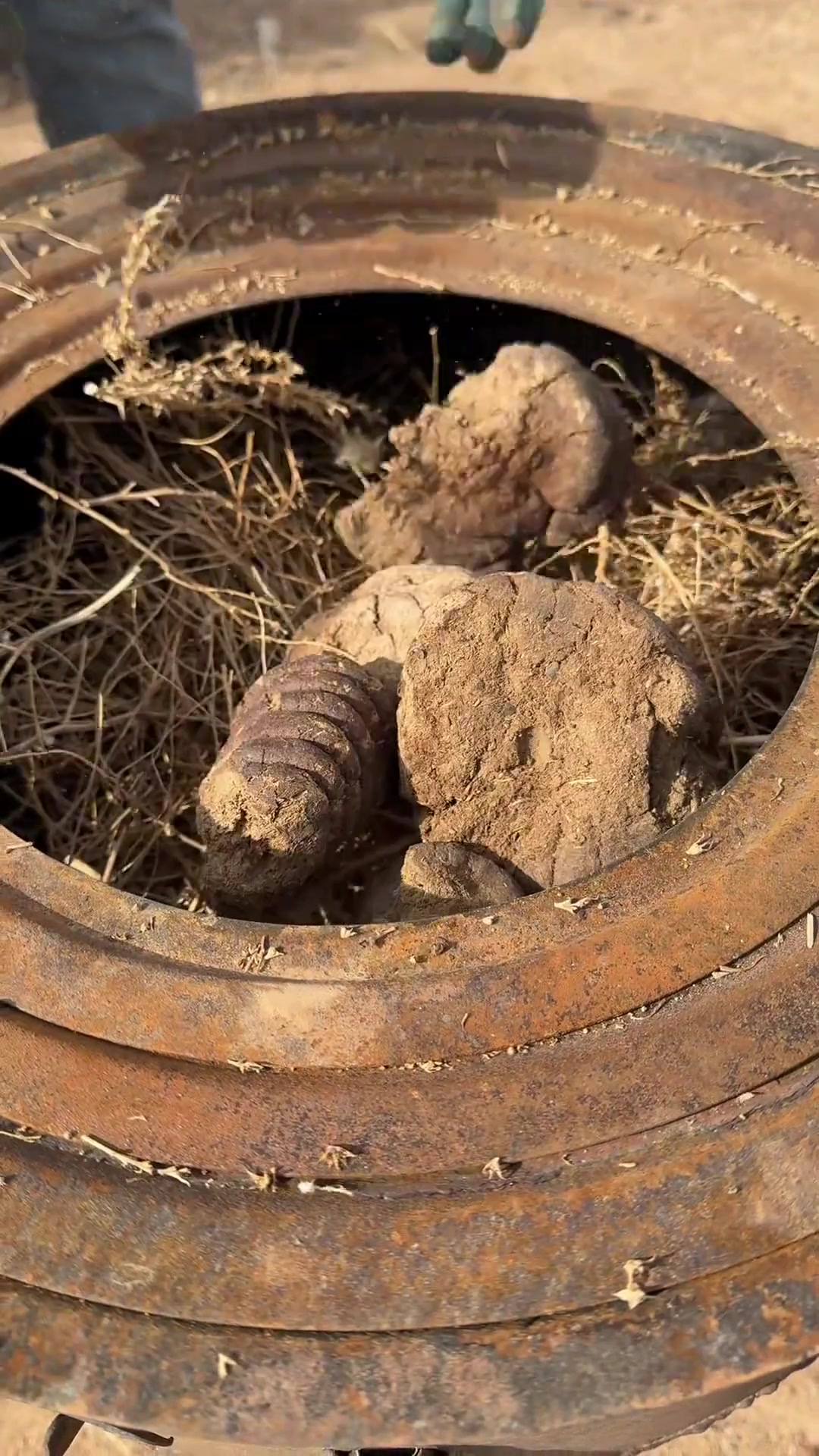 苏尼特黄膘牛肉～选用苏尼特草原原生态散养蒙古牛，肉质紧质厚实，肉香味浓郁！