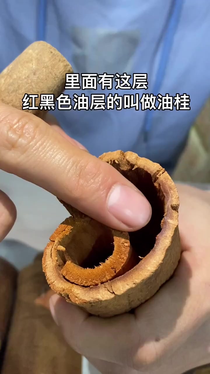 油桂和肉桂的区别,肉桂一般是做香料,油桂还有很好的作用和价值呢