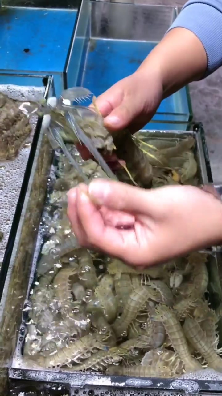 虾爬子、皮皮虾、富贵虾还有啥名?海鲜爱好者速看