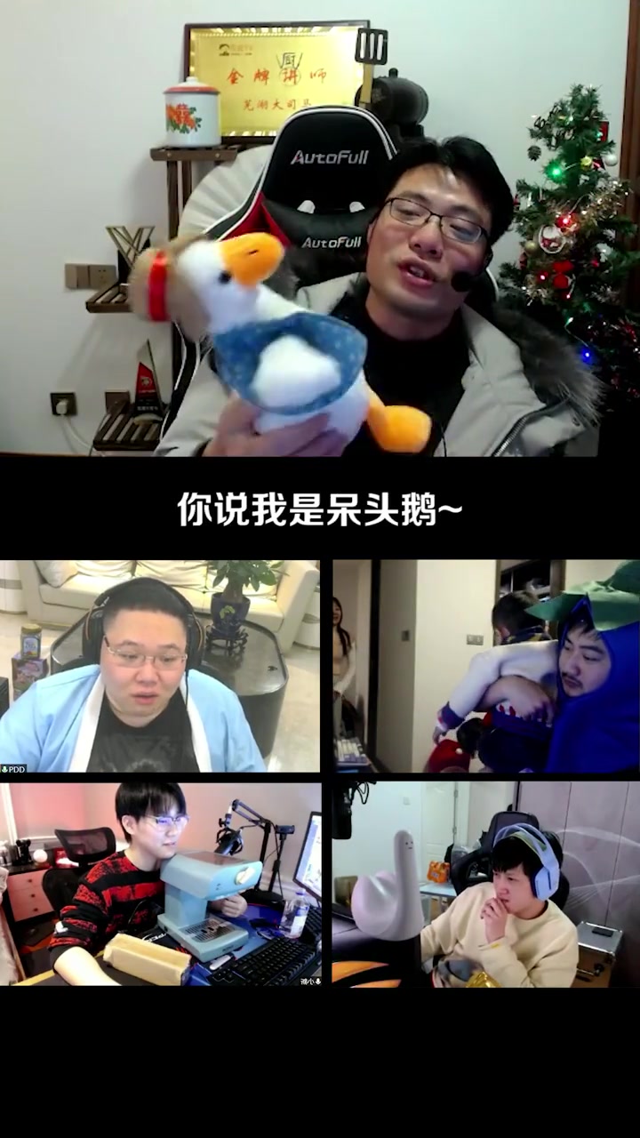 呆头鹅？我可不是呆头鹅，你们怎么说