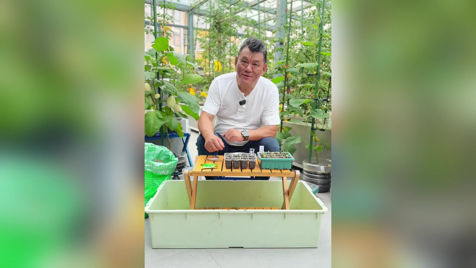 生菜播种,夏季种植小技巧!