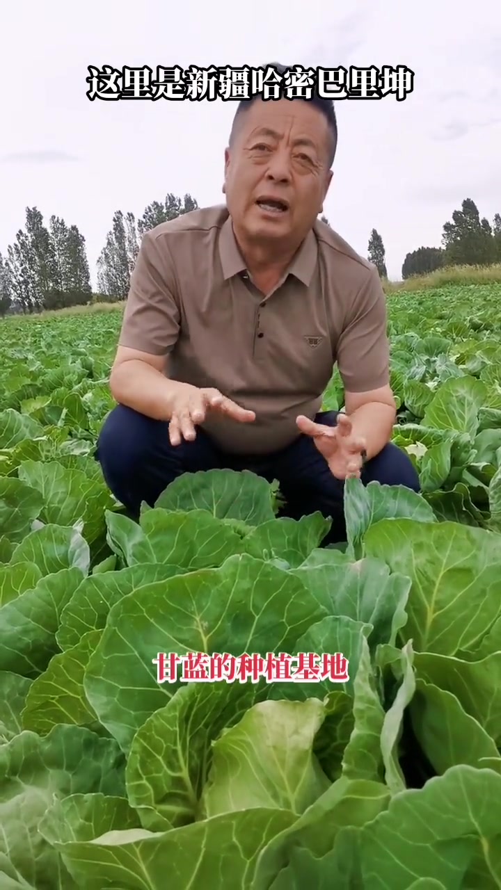 数万热情民众齐声说新疆！