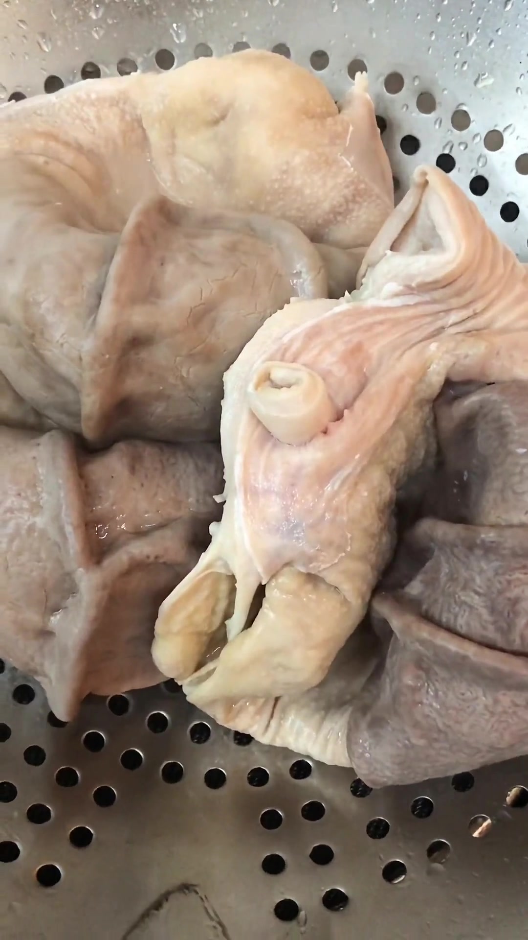 鲜猪肚煨鹿茸菇,你会了吗