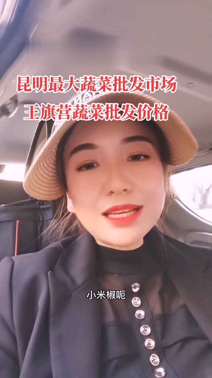 了解每天蔬菜价格！