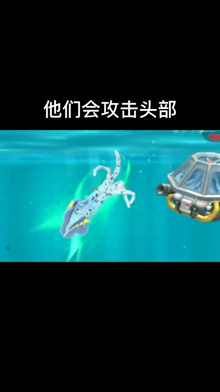 凶猛饥饿鲨，狂野海洋掠食者！