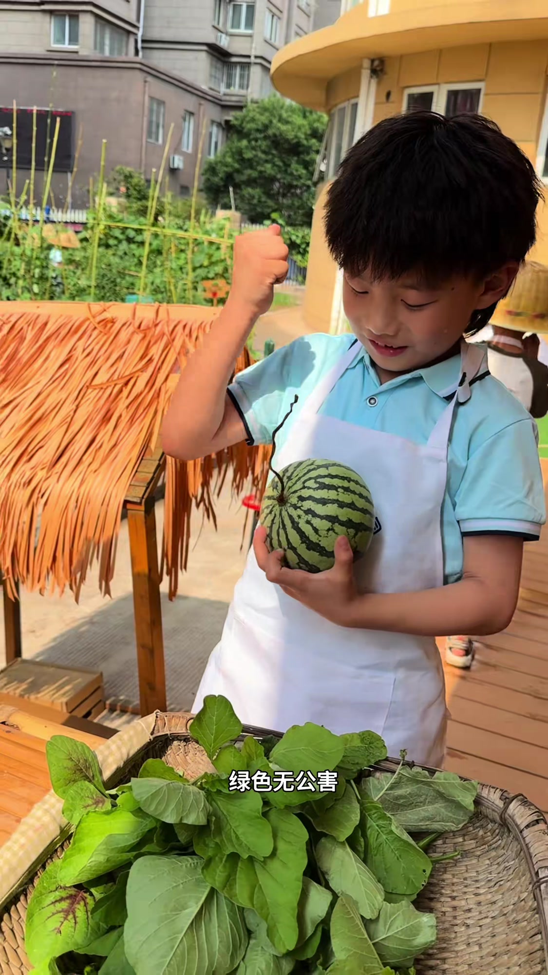 孩子们种的瓜果蔬菜丰收啦，劳动获得收获，体验成长