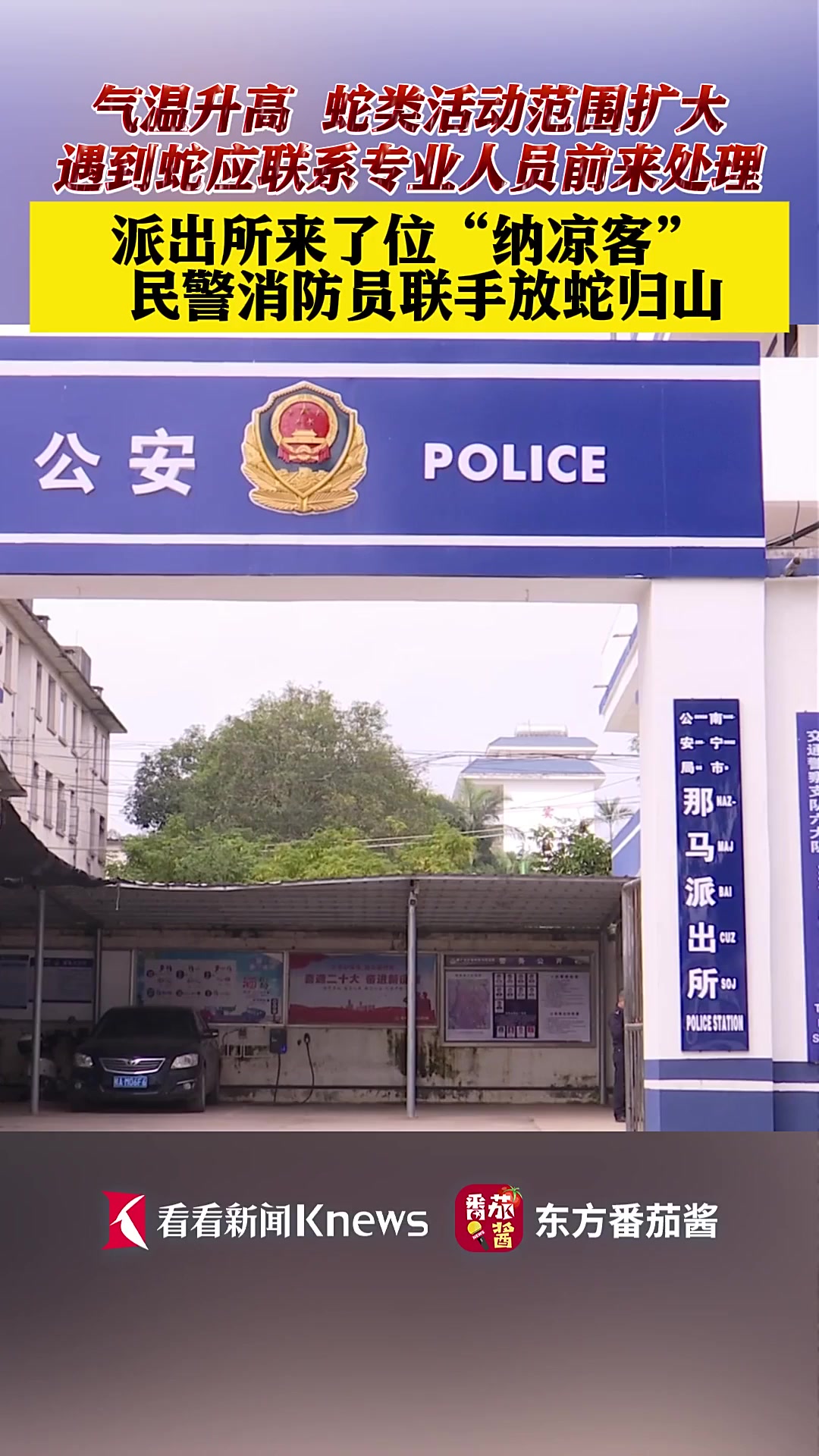 两米长蛇“做客”派出所民警消防员联手送归山林
