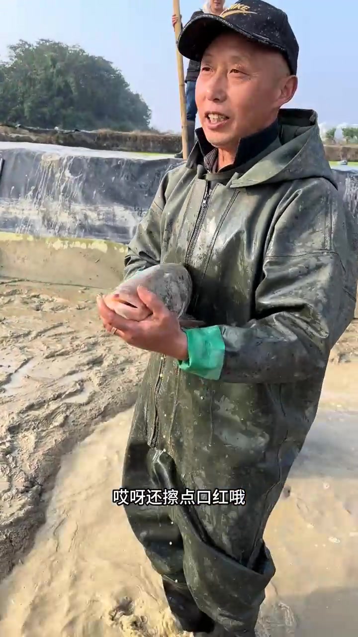 感谢你们的观看